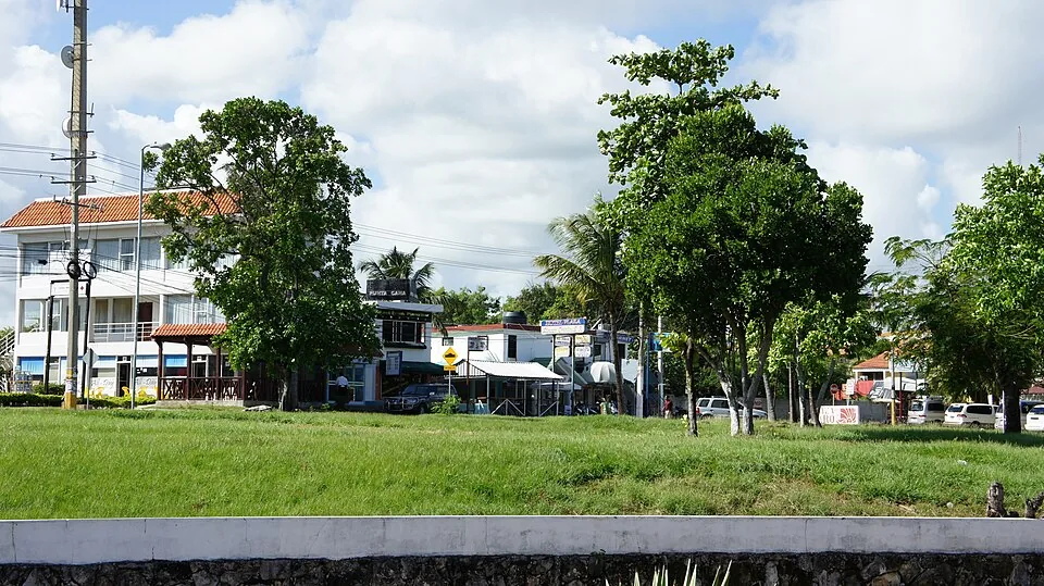 Bavaro