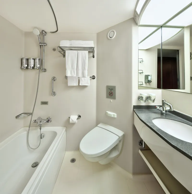 大型海景水疗舱房 2