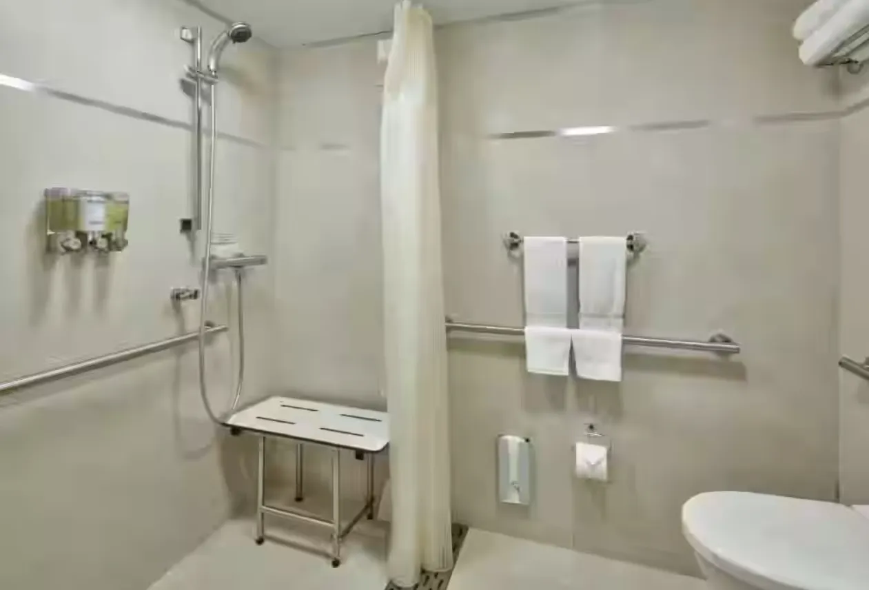 মানক অভ্যন্তরীণ কেবিন 4