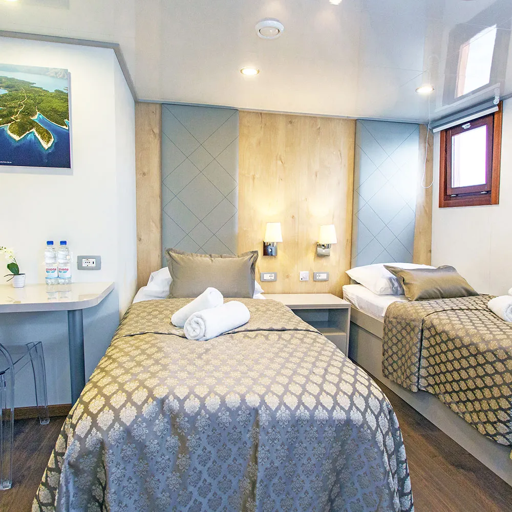 Category A+ Cabin