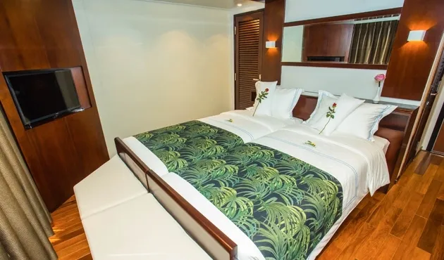 Upper Deck: 2 Beds