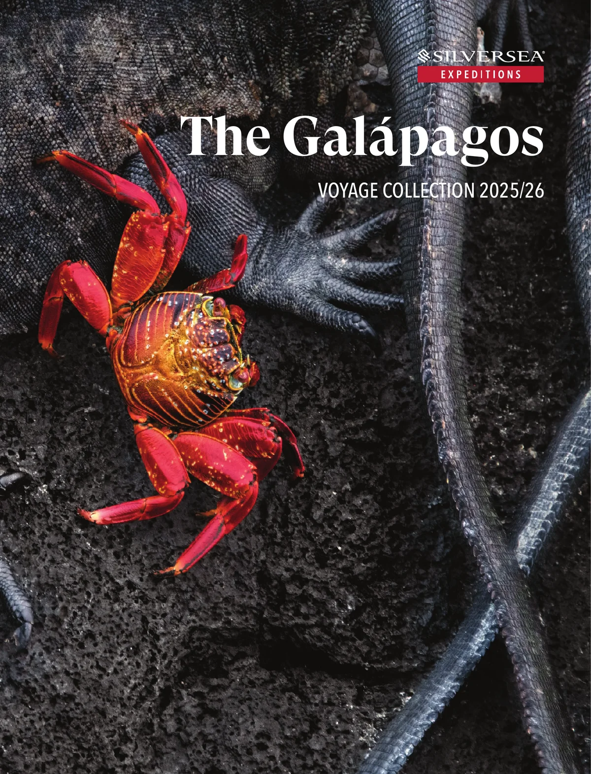 Silversea Galapagos 2025 2026