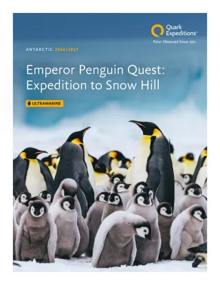 Quark Expeditions Ultramarine Antarctic Emperor Penguin Quest 2026 2027