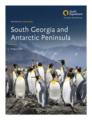Quark Expeditions South Georgia Antarctica Penguin Safari 2025 2026