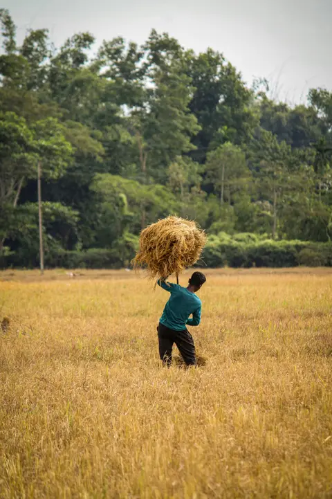 Jorhat