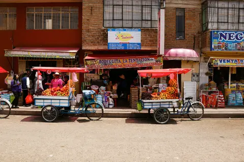 Traversarea Legendară a Pacificului de Sud: Seattle către Sydney — Holland America Line · Noordam