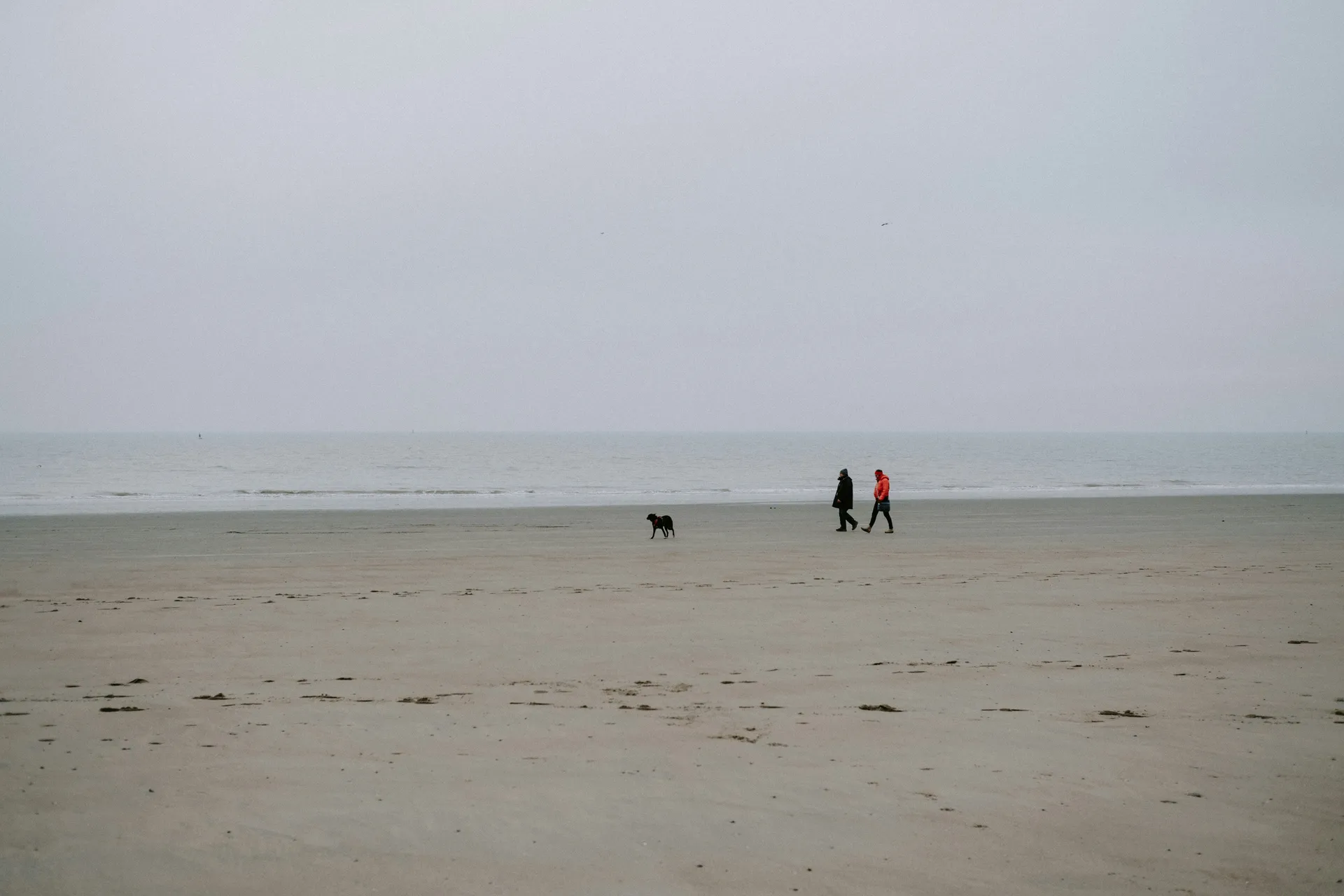 Dunkerque (Dunkirk, France)