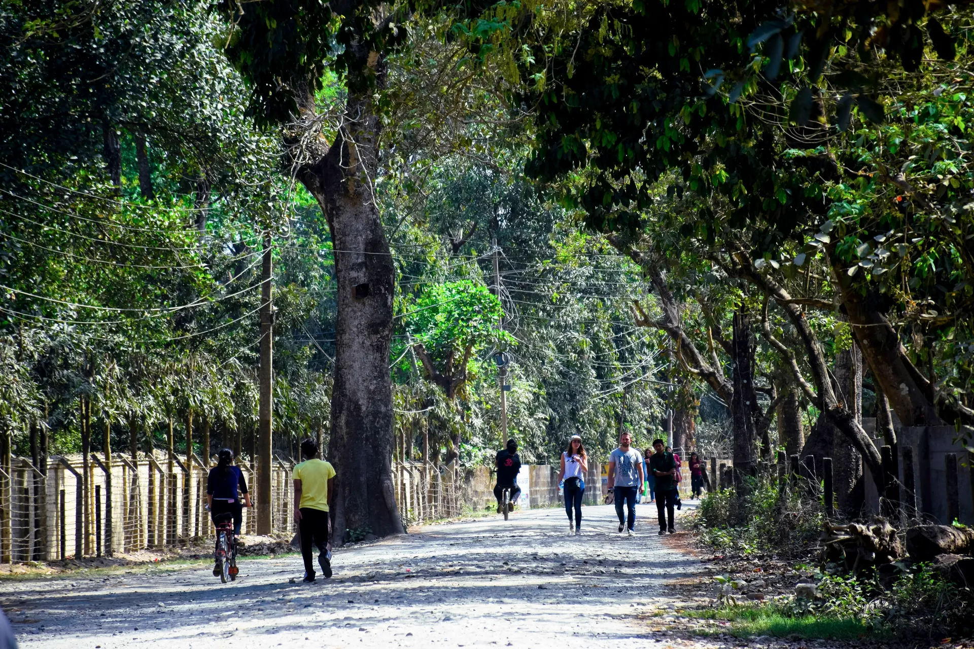 Nacionalni park Chitwan 6