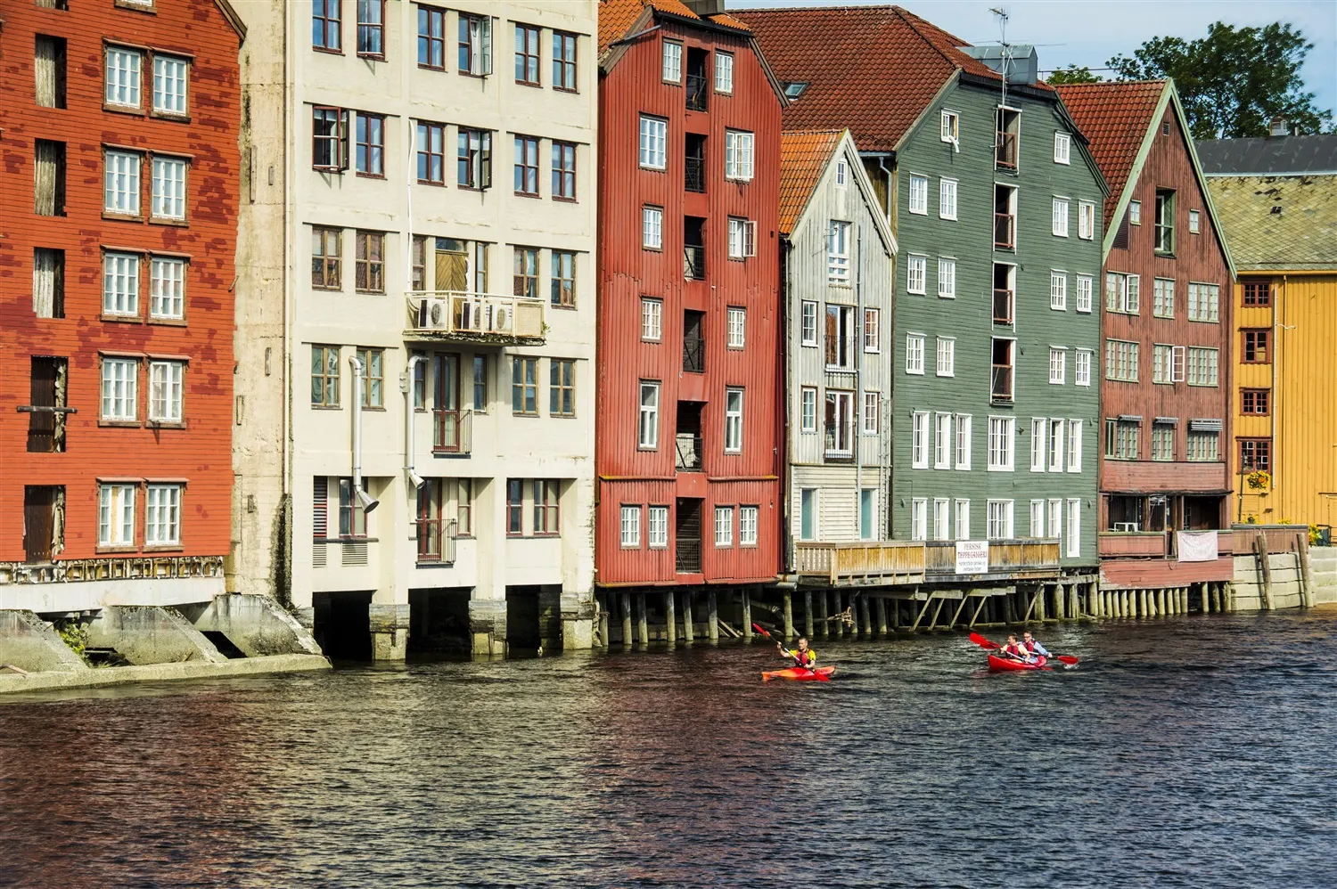 Arctic Circle & North Cape  — Holland America Line · Nieuw Statendam