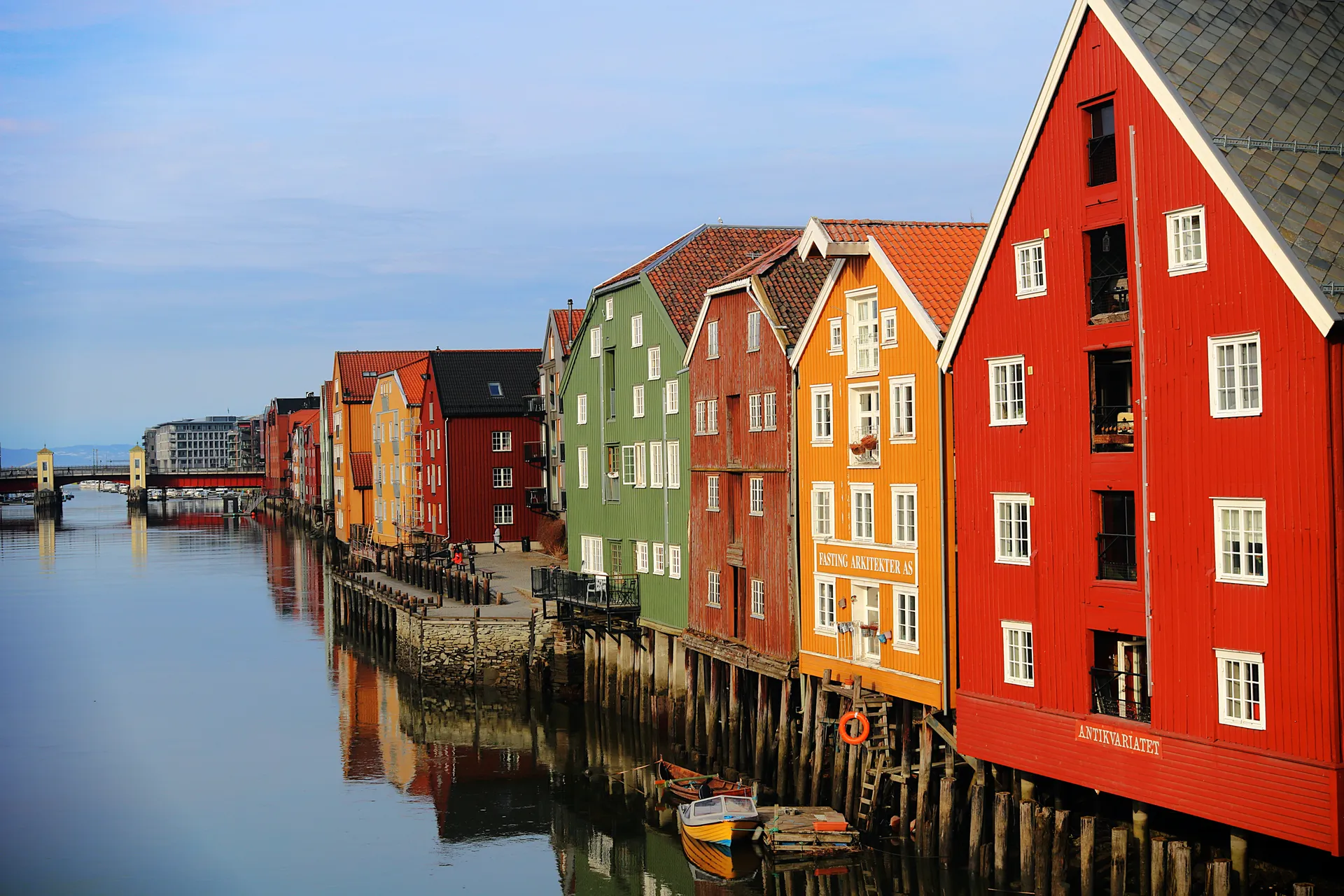 Arctic Circle & North Cape  — Holland America Line · Nieuw Statendam