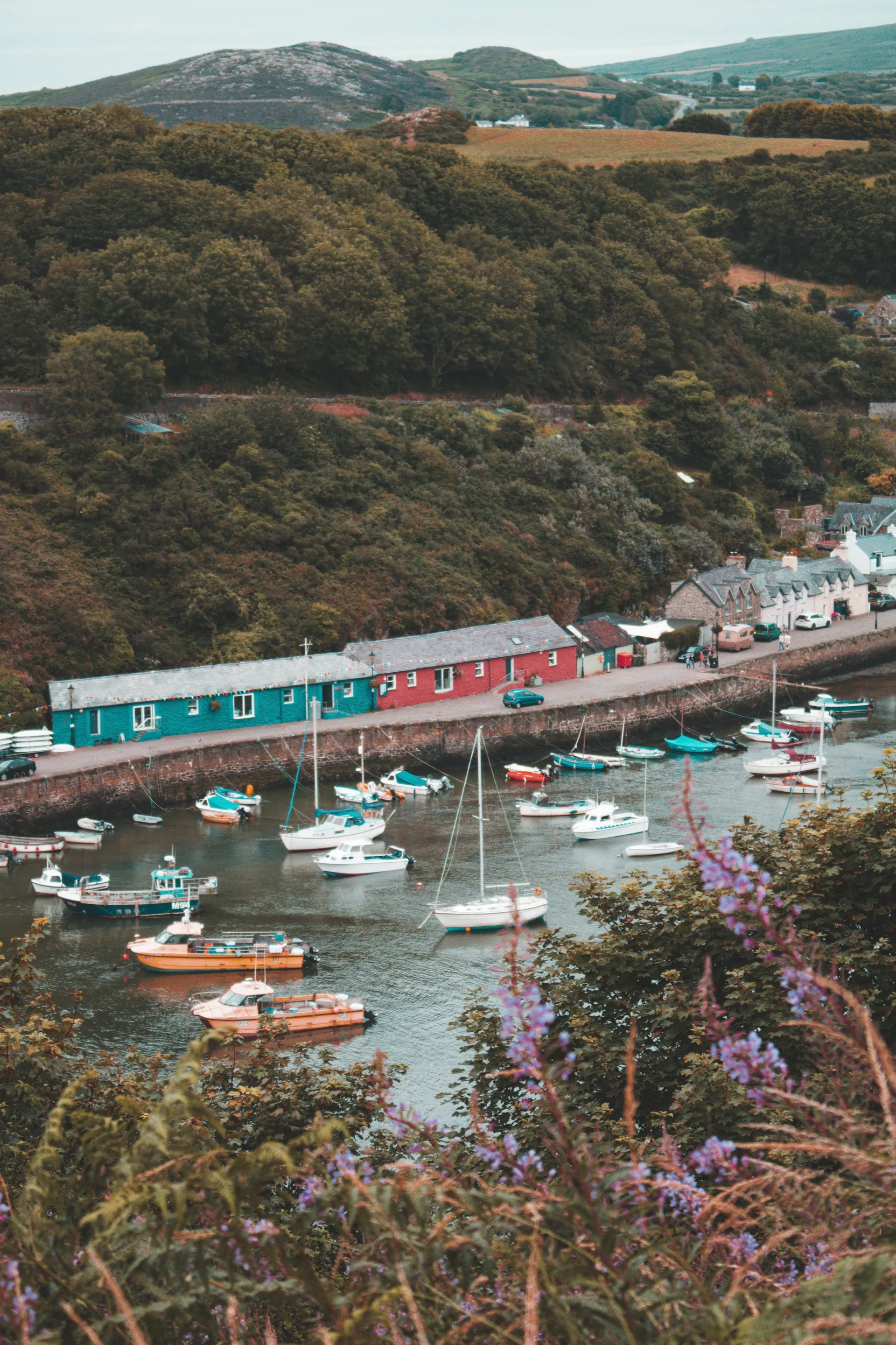 Fishguard (Fishguard)