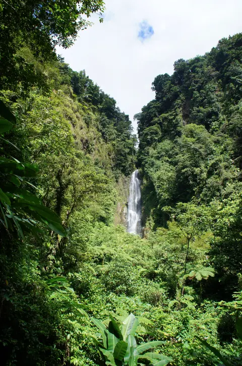 Østlige Caribien: Windward- og Leeward-øerne — Holland America Line · Rotterdam