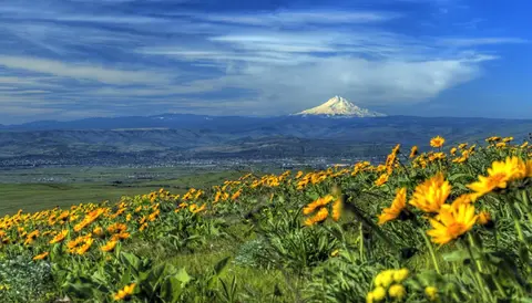 The Dalles