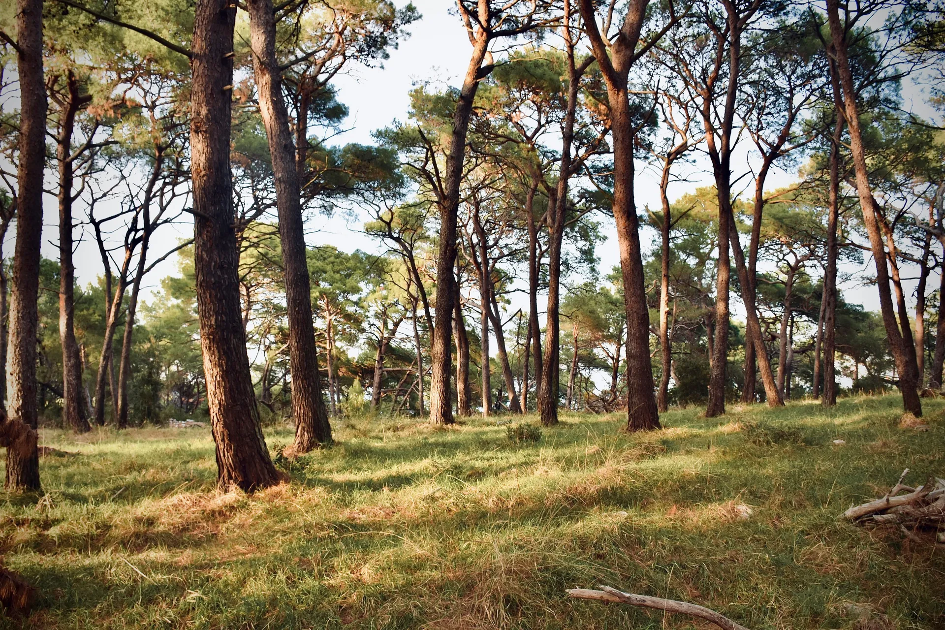 Mali Lošinj (Mali Losinj, Croatia)