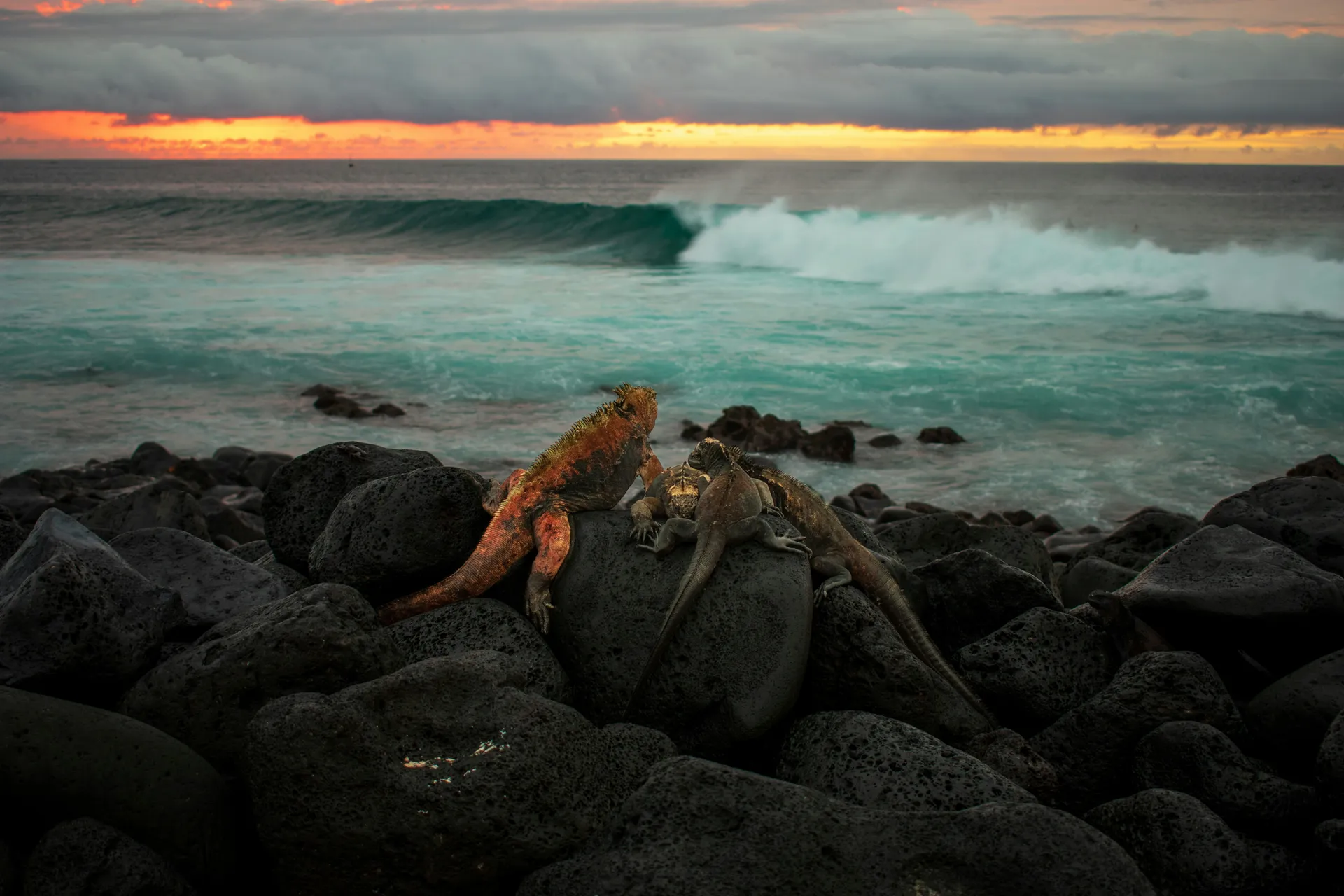 San Cristóbal (San Cristobal Island, Galapagos Islands)