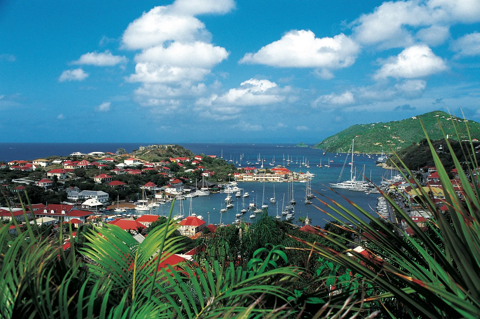 Γκουστάβια 2