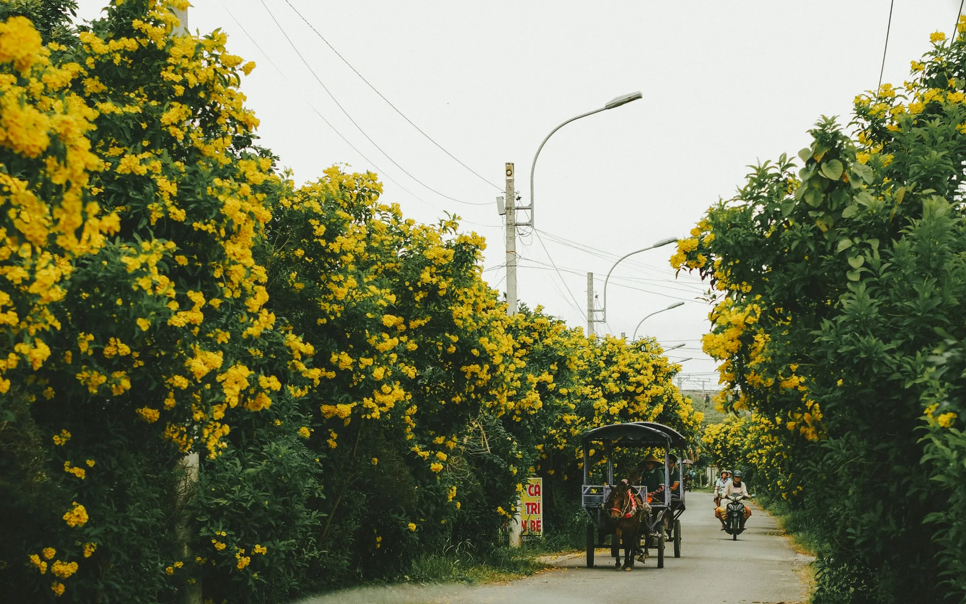 Ben Tre (Ben Tre)