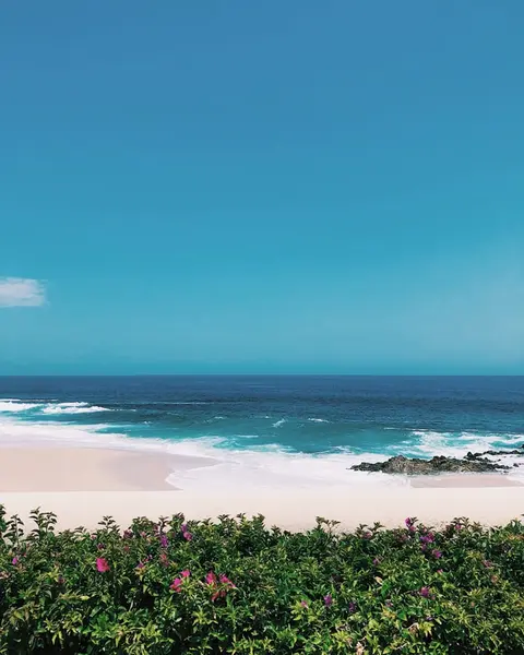 Cabo San Lucas til Puntarenas — Ponant · Le Bellot