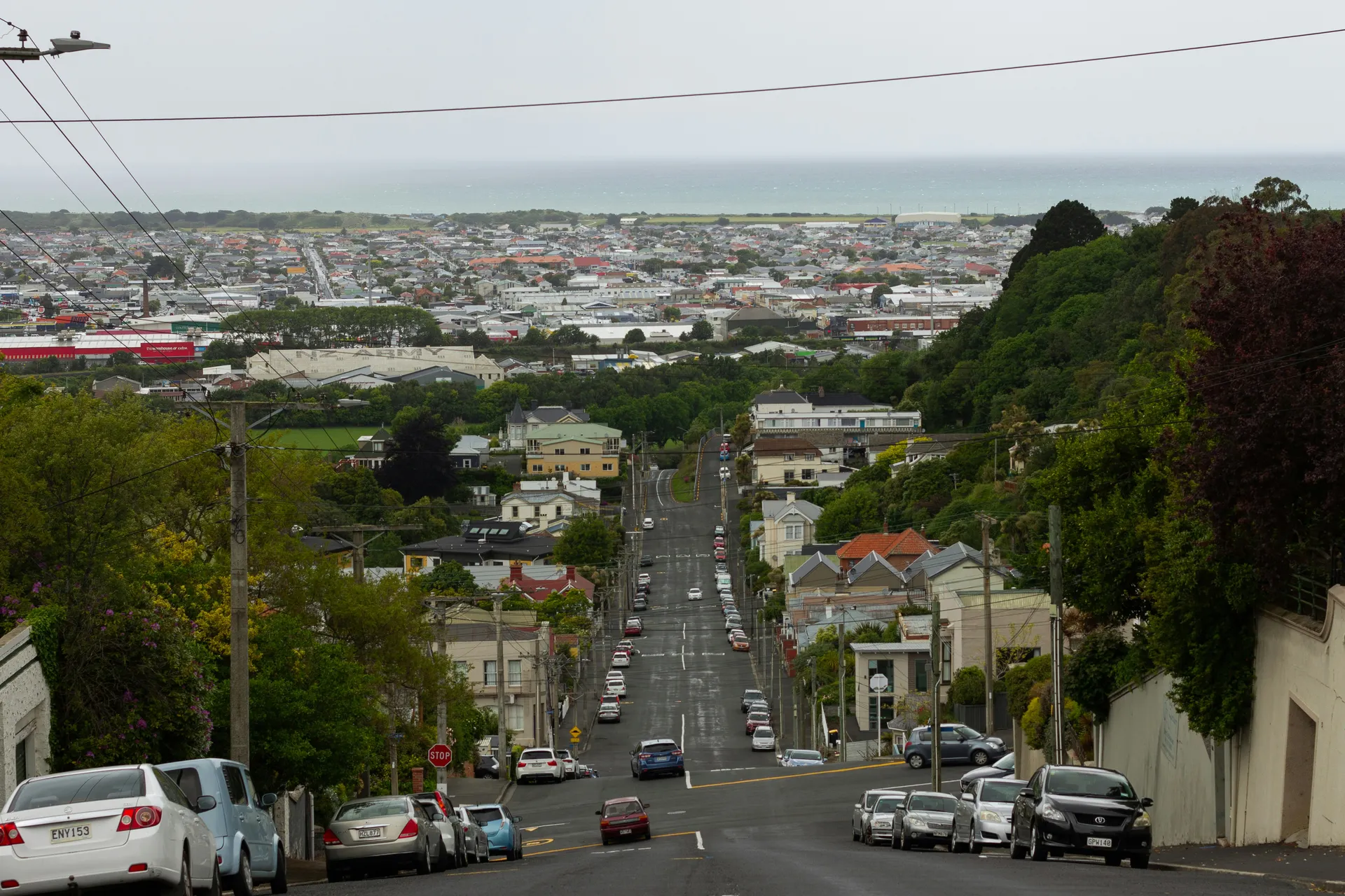 Dunedin, New Zealand 3