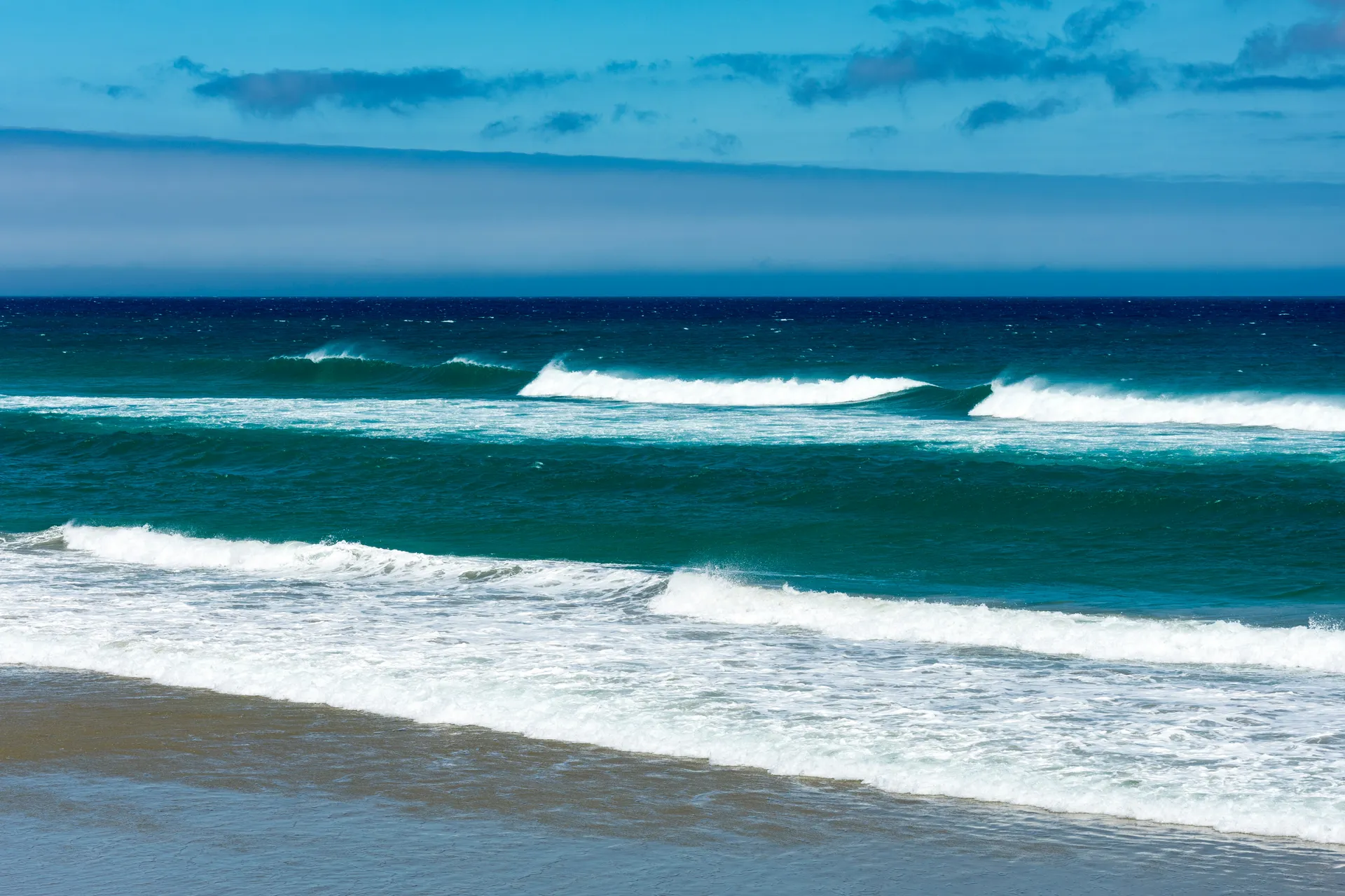 Dunedin, New Zealand 4