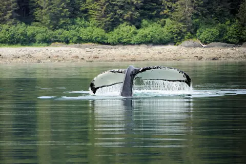 Frederick Sound