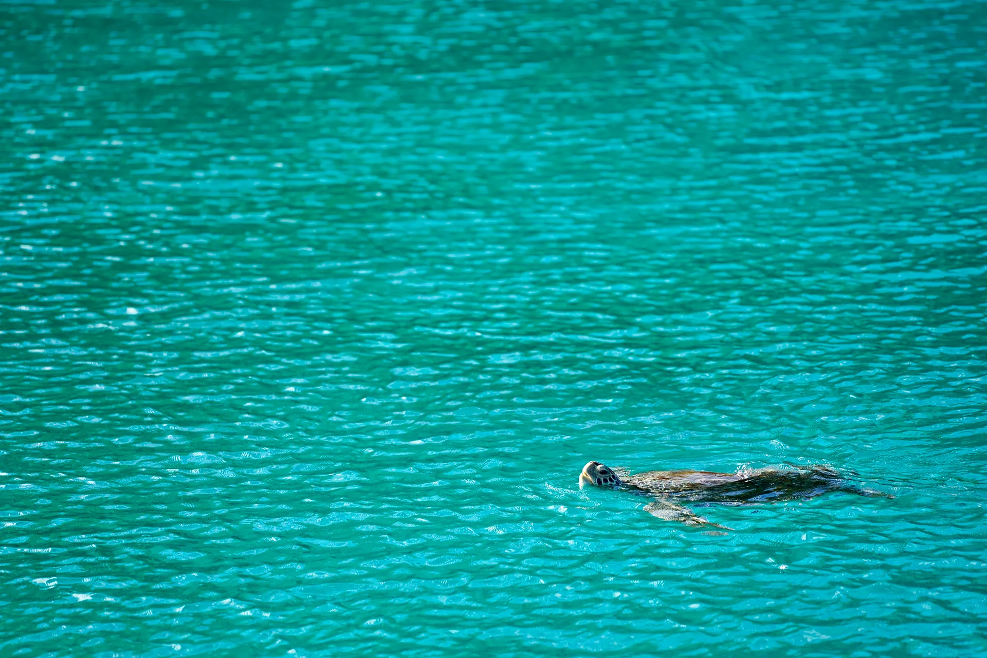 Francia-sziget (Frenchman's Cay, British Virgin Islands)