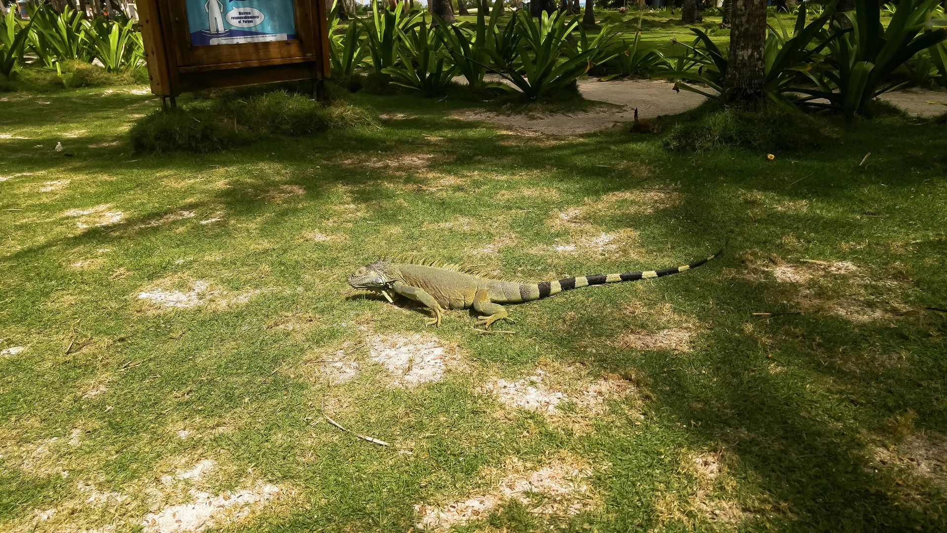 Insula San Andres (Isla San Andres, Colombia)