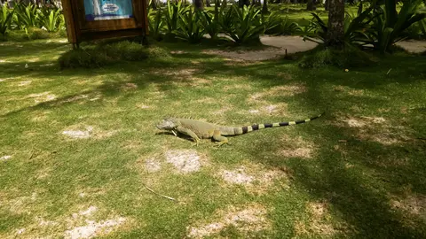 Isla San Andres, Colombia