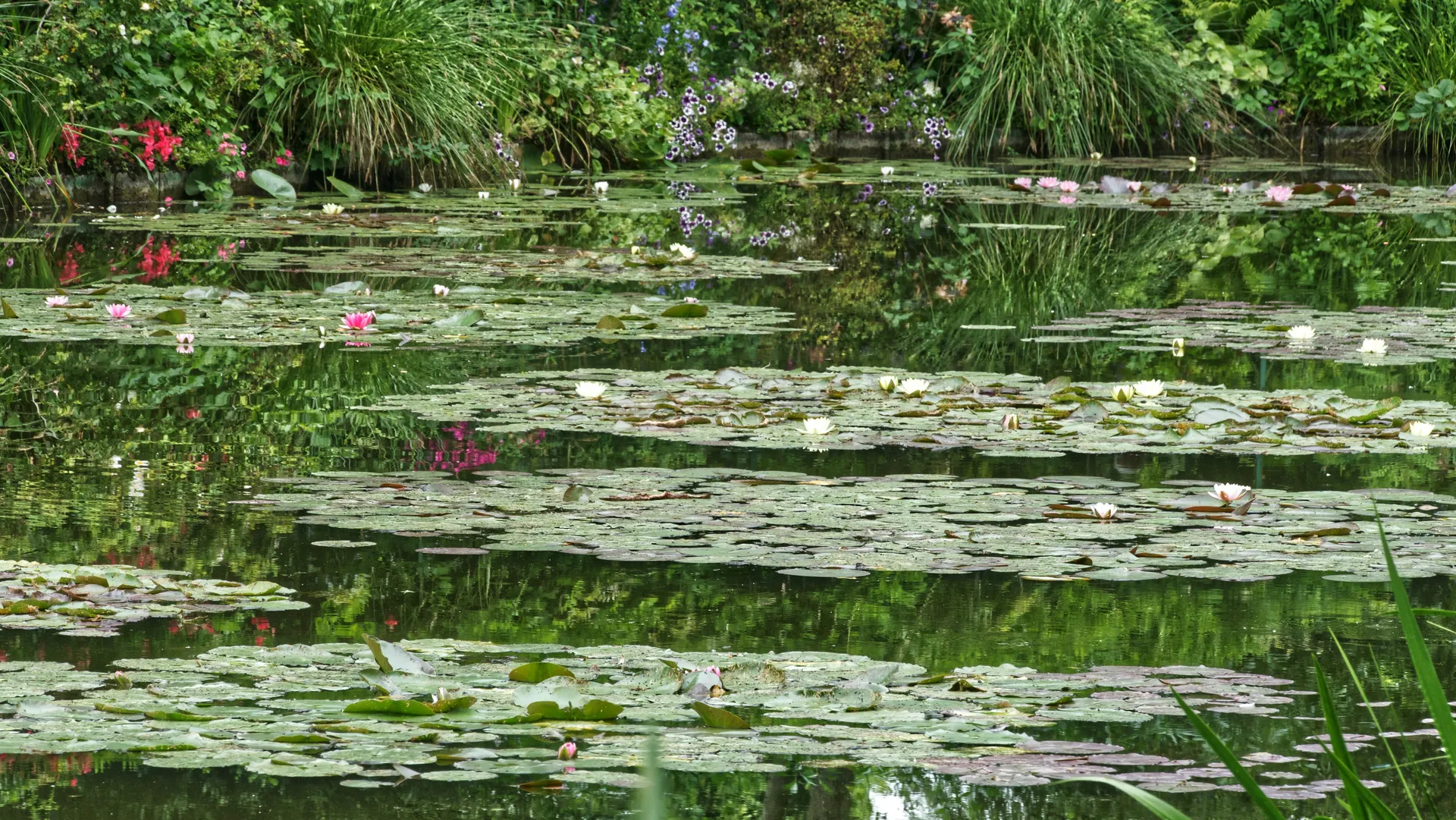 Giverny (Giverny)
