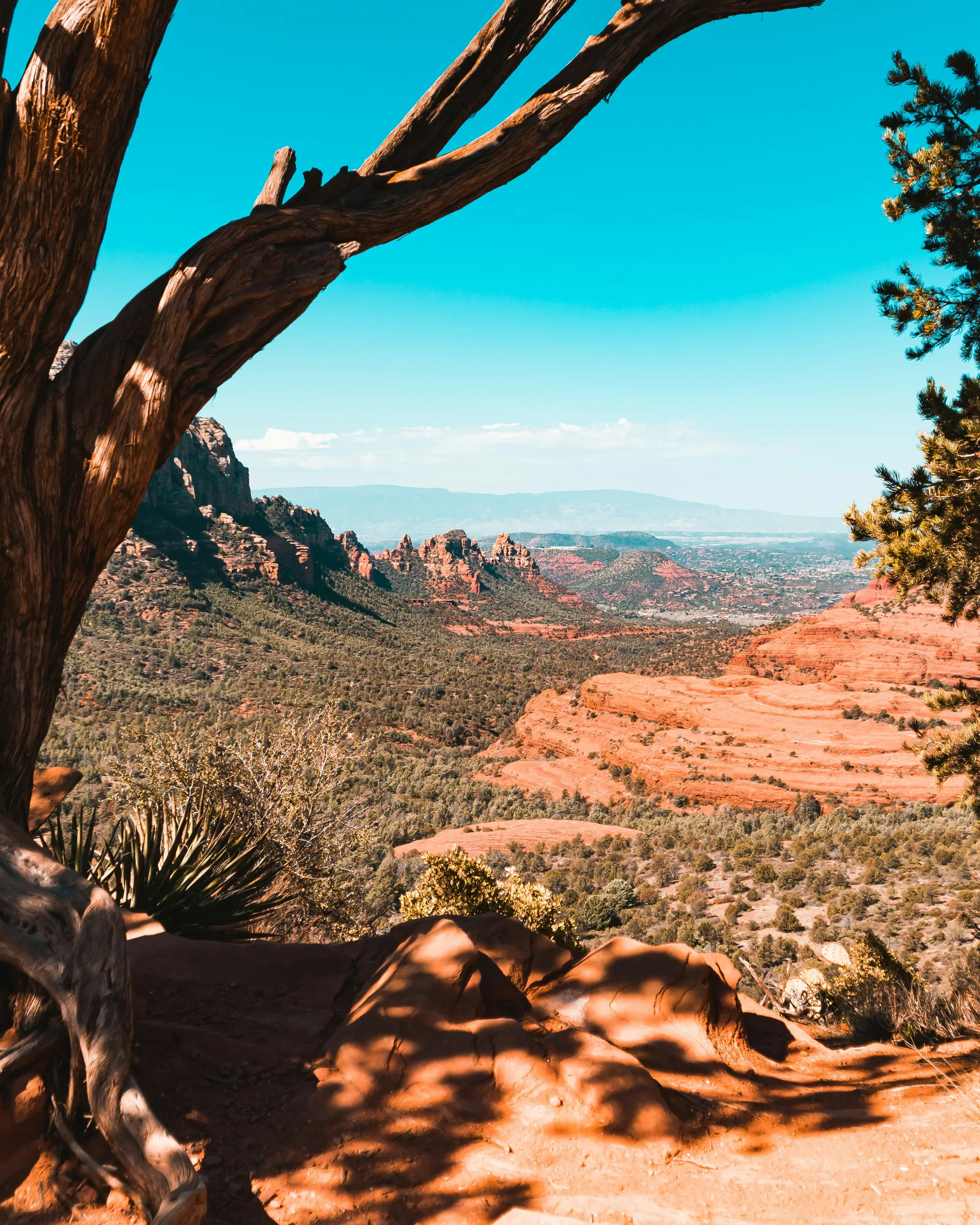 Sedona 3