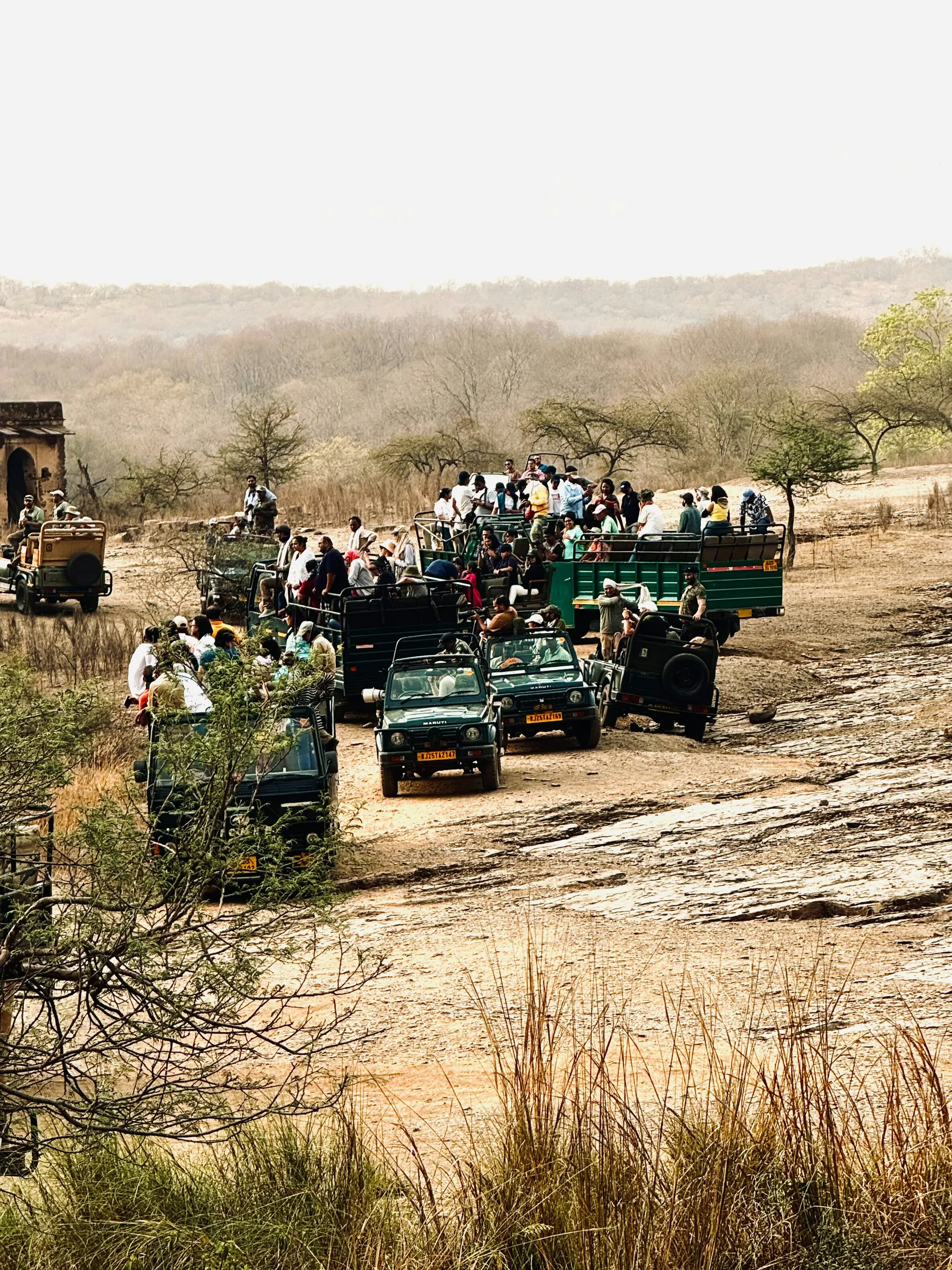 Ranthambore National Park (Ranthambore National Park)