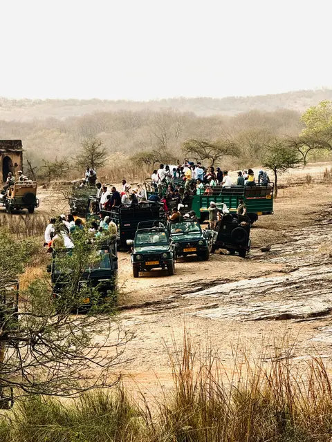 Ranthambore Nemzeti Park