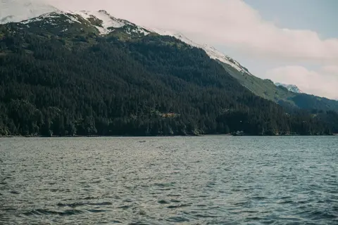 14denní ultimátní Denali DHL — Holland America Line · Westerdam