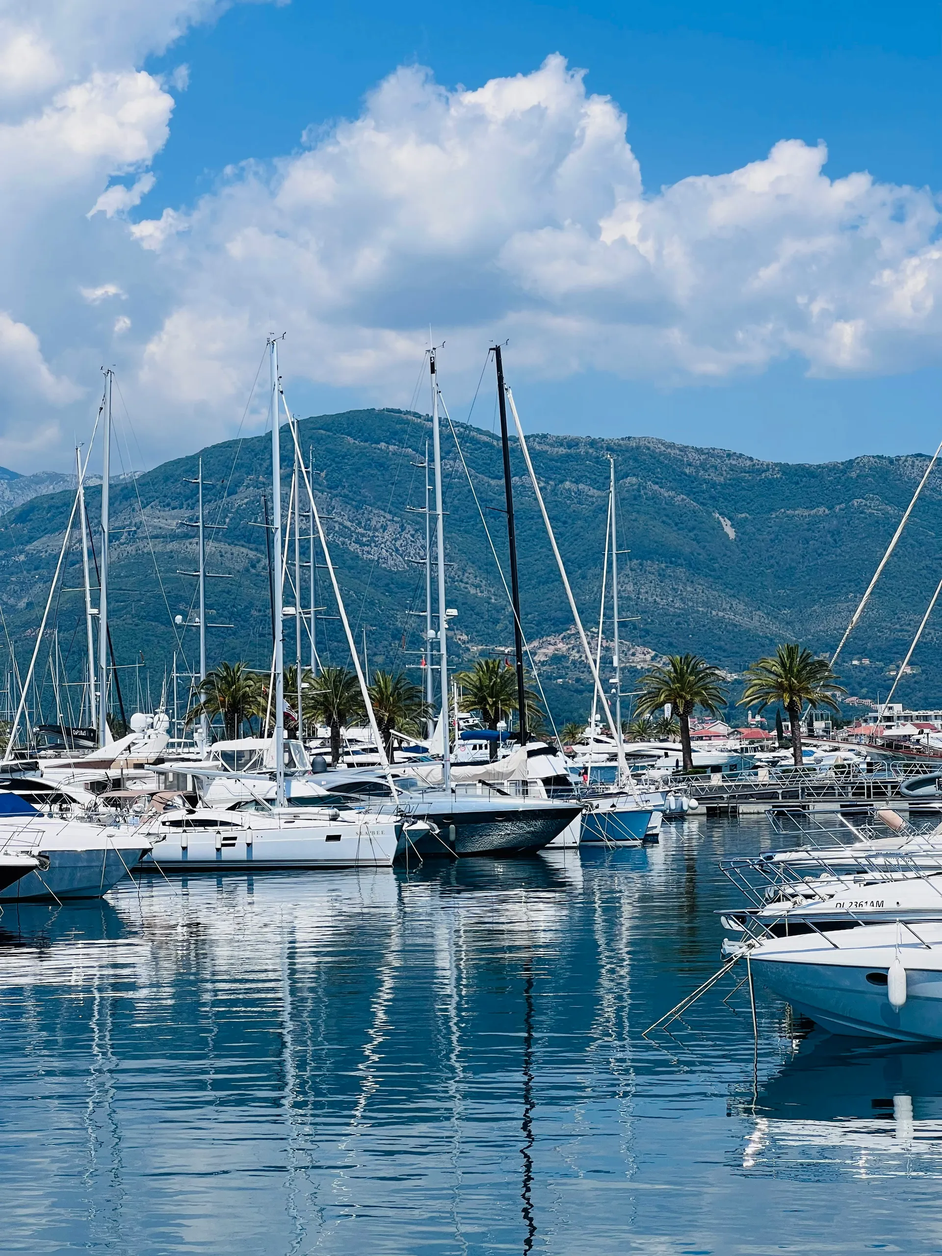 Tivat 4