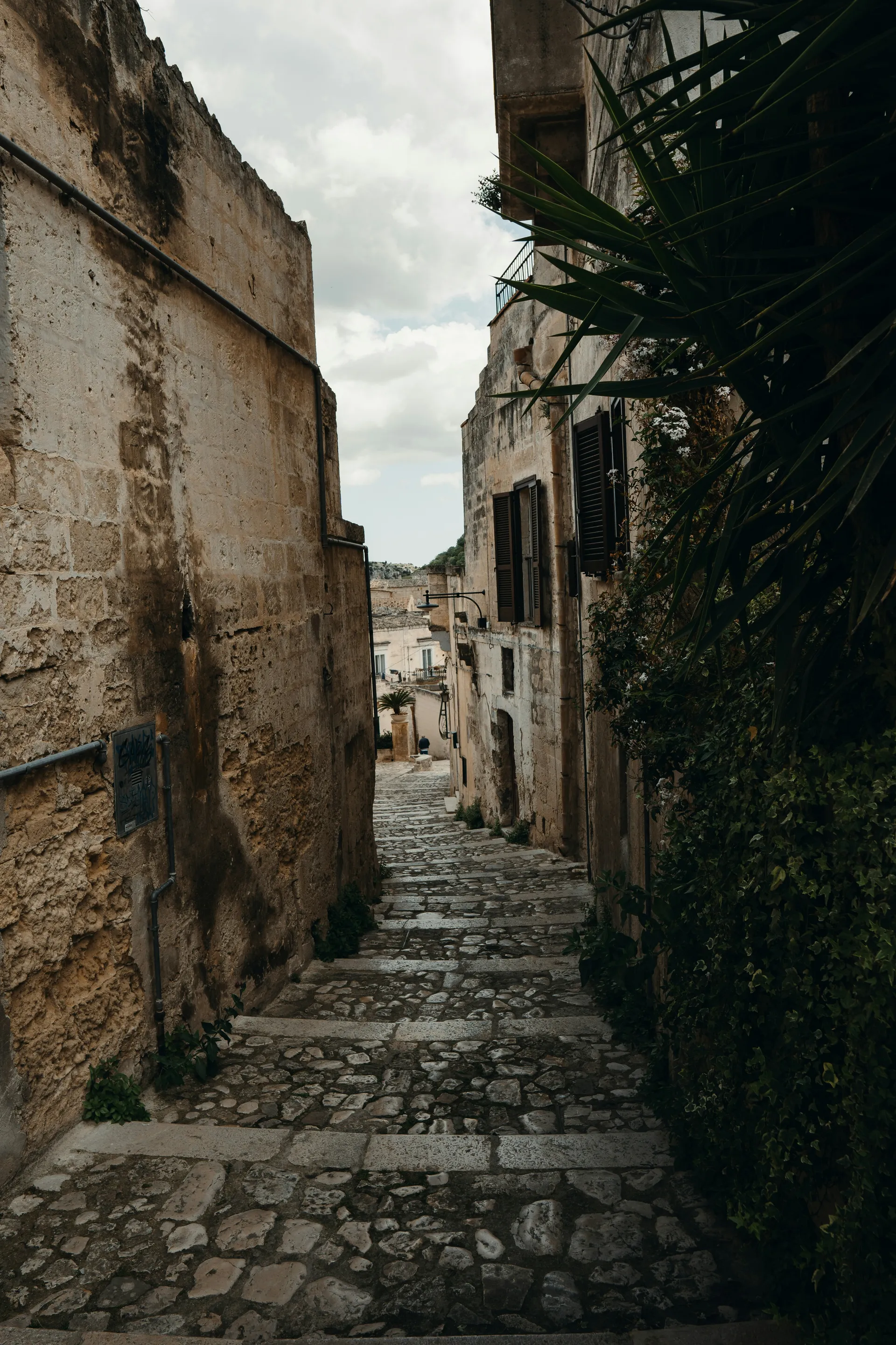 মাটেরা 5