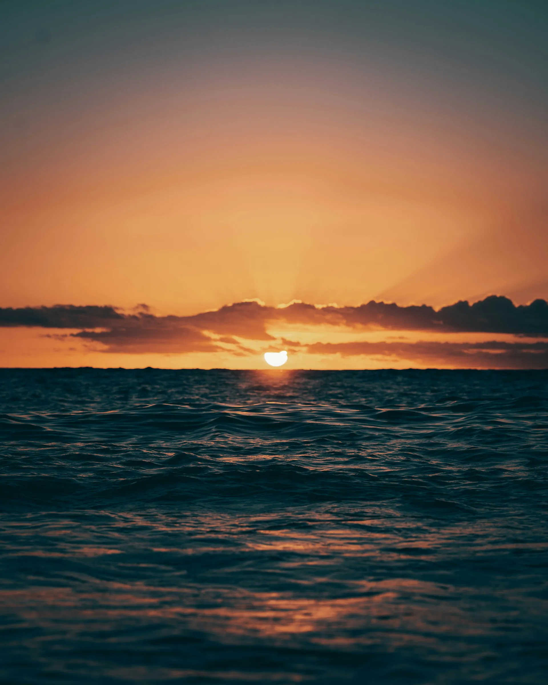 Maui Island, Hawaii 3