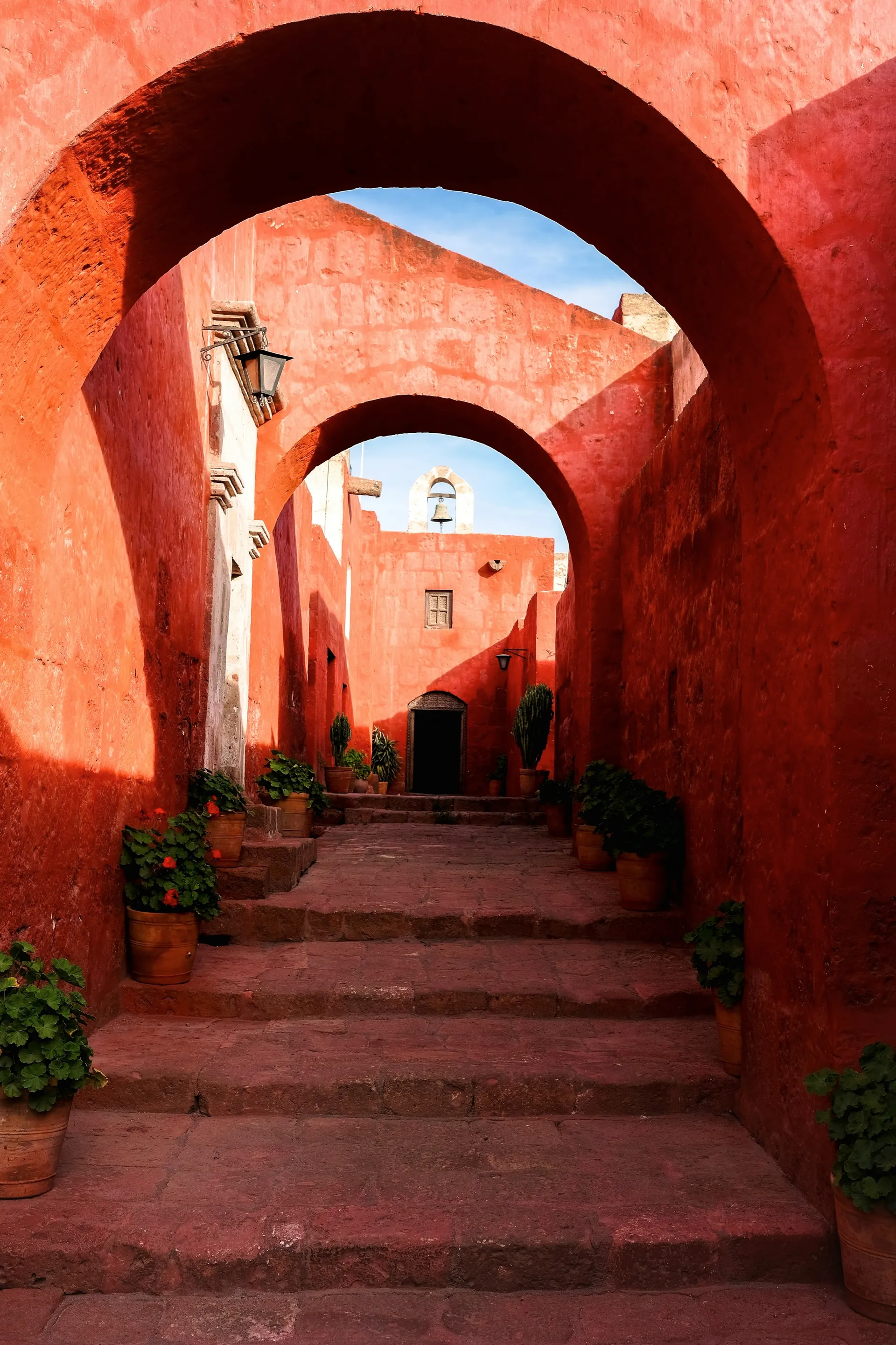 Pisco (Pisco (San Martin))