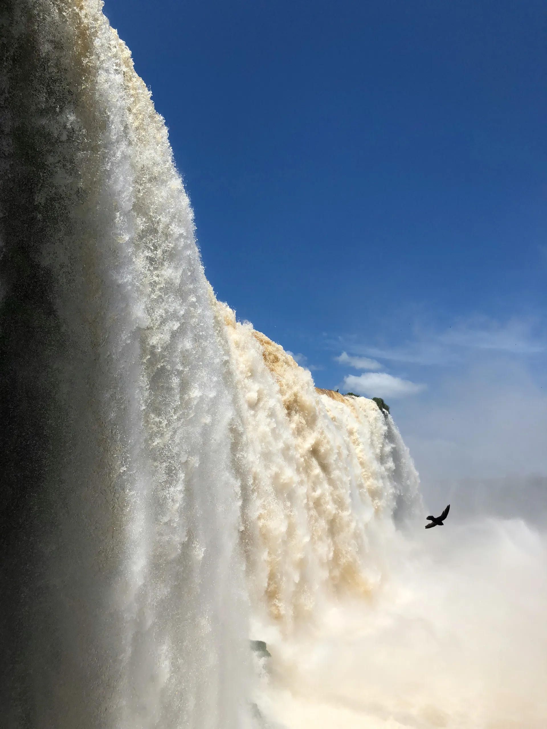 Iguazú Falls 8