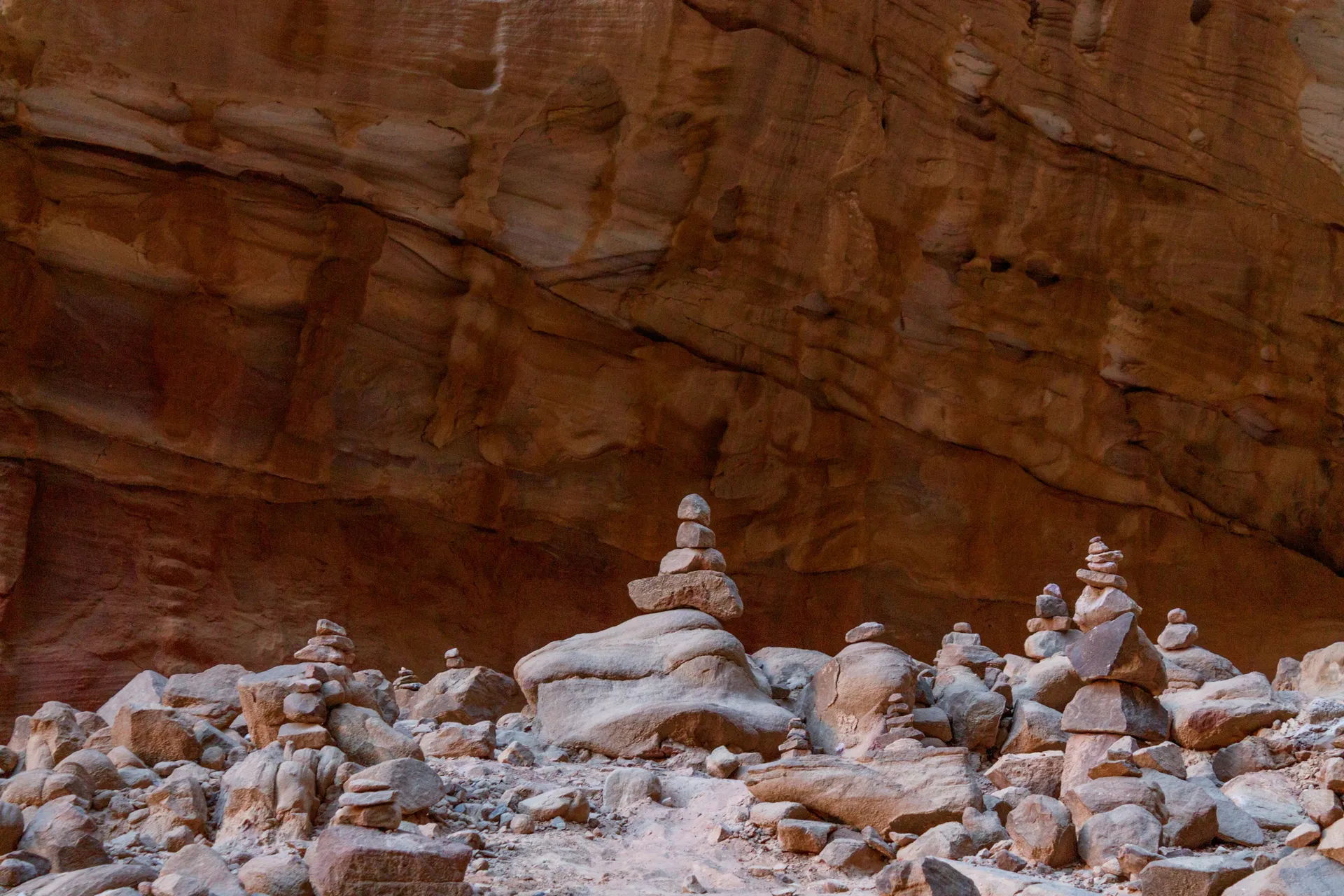 Wadi Rum Desert & Protected Area 7