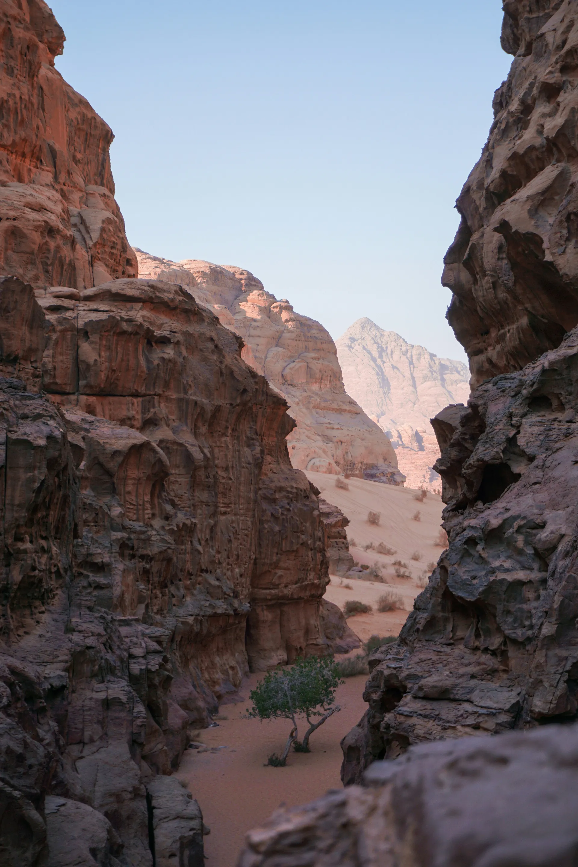 Wadi Rum Desert & Protected Area 8