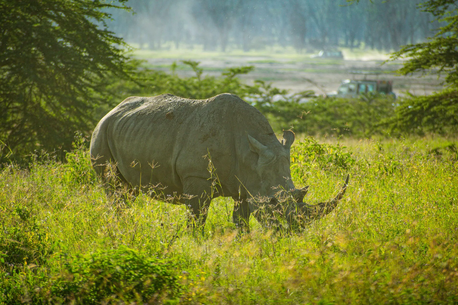Lake Nakuru Nationalpark 4