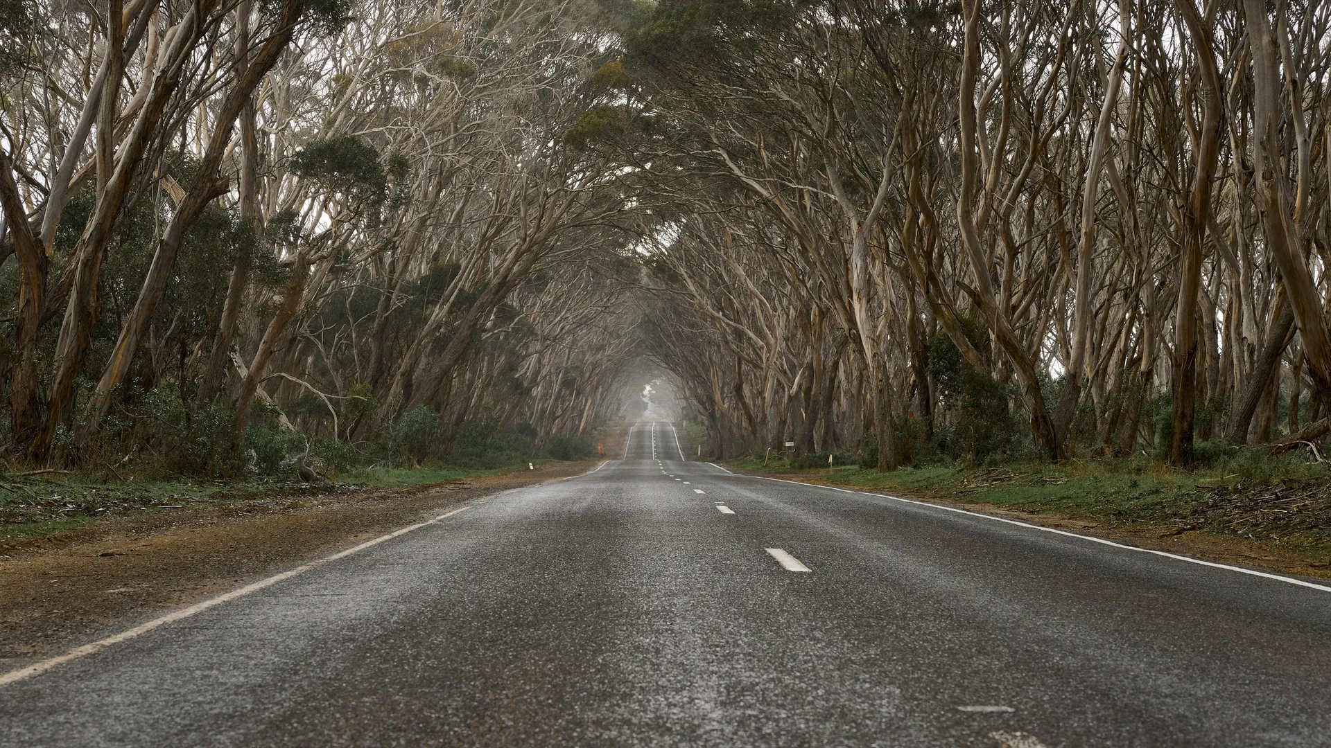 Penneshaw (Penneshaw, Kangaroo Island)