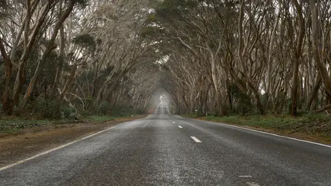 Vacanță Descoperire în Australia de Sud — Holland America Line · Noordam