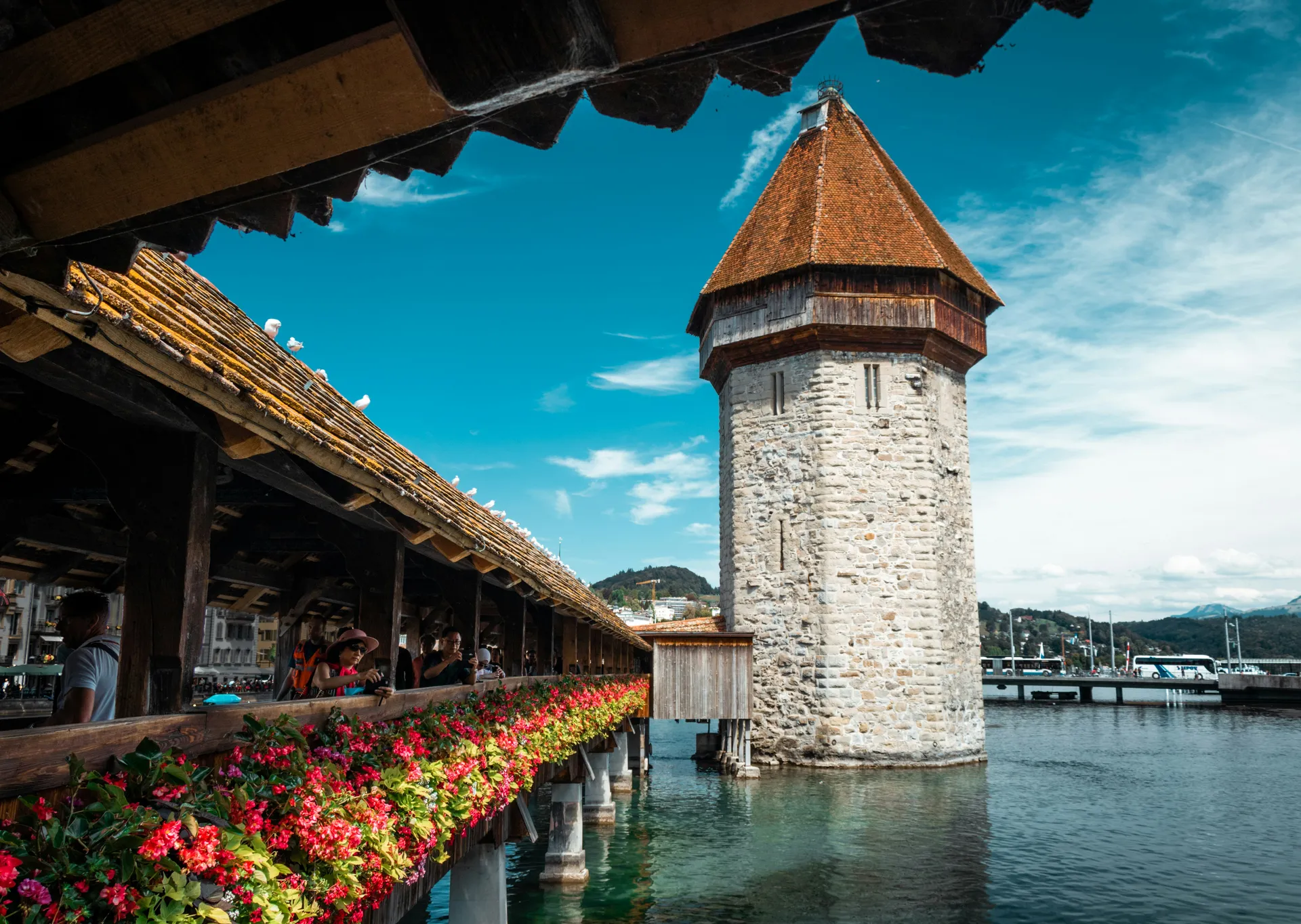 Lucerne (Lucerne)