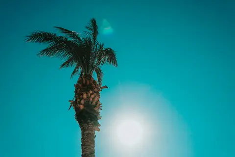 Marea Mediterană din Civitavecchia / Roma — MSC Croaziere · MSC Divina