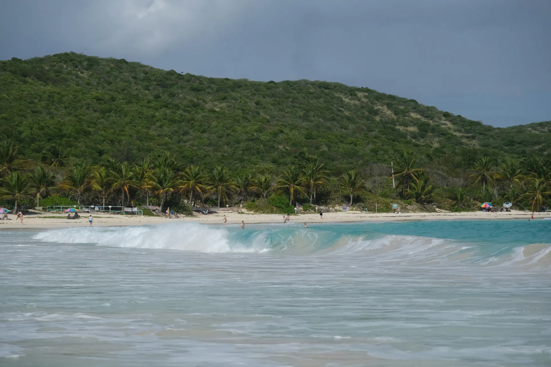 Pulau Culebra 4