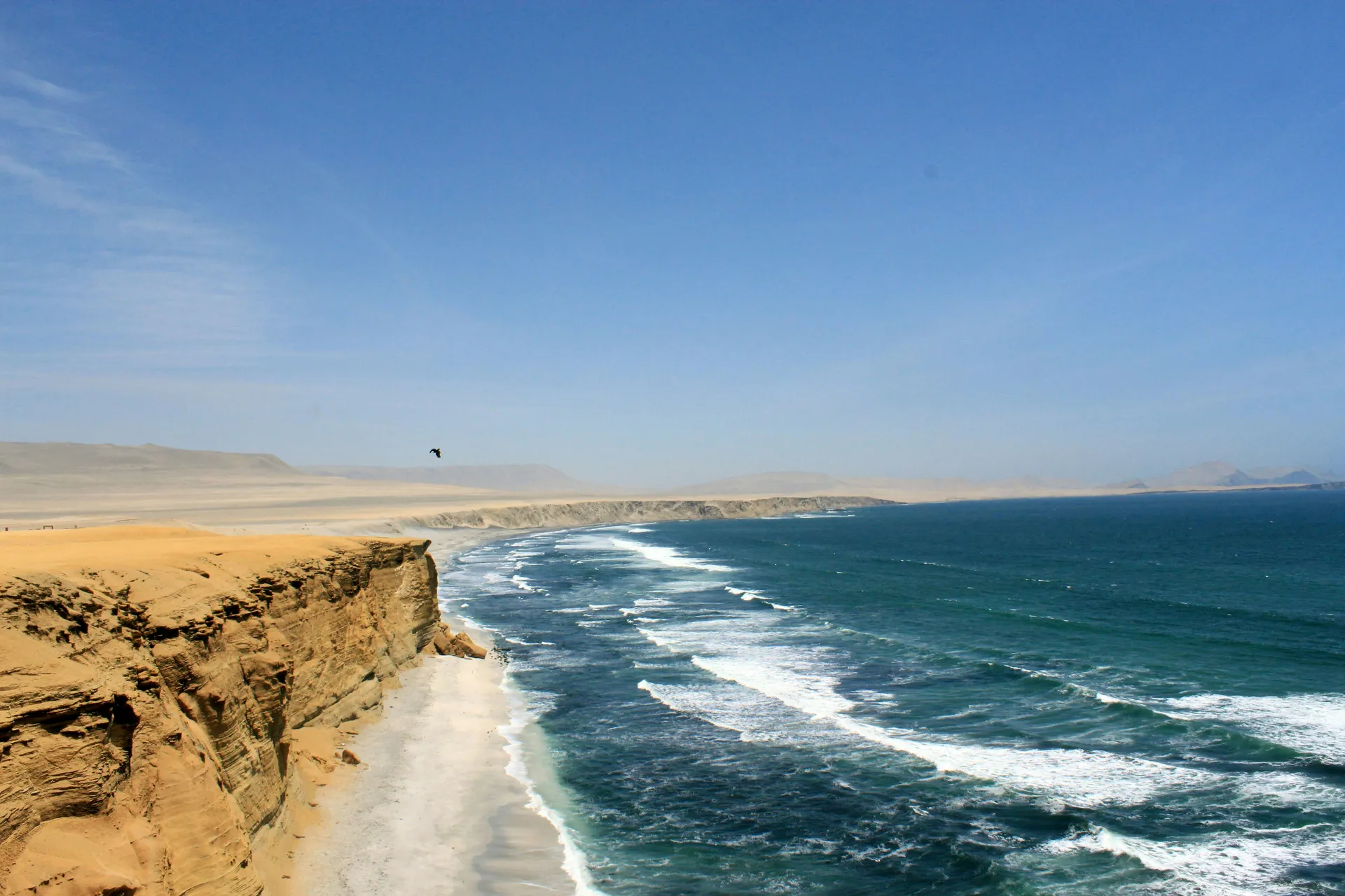Paracas 3