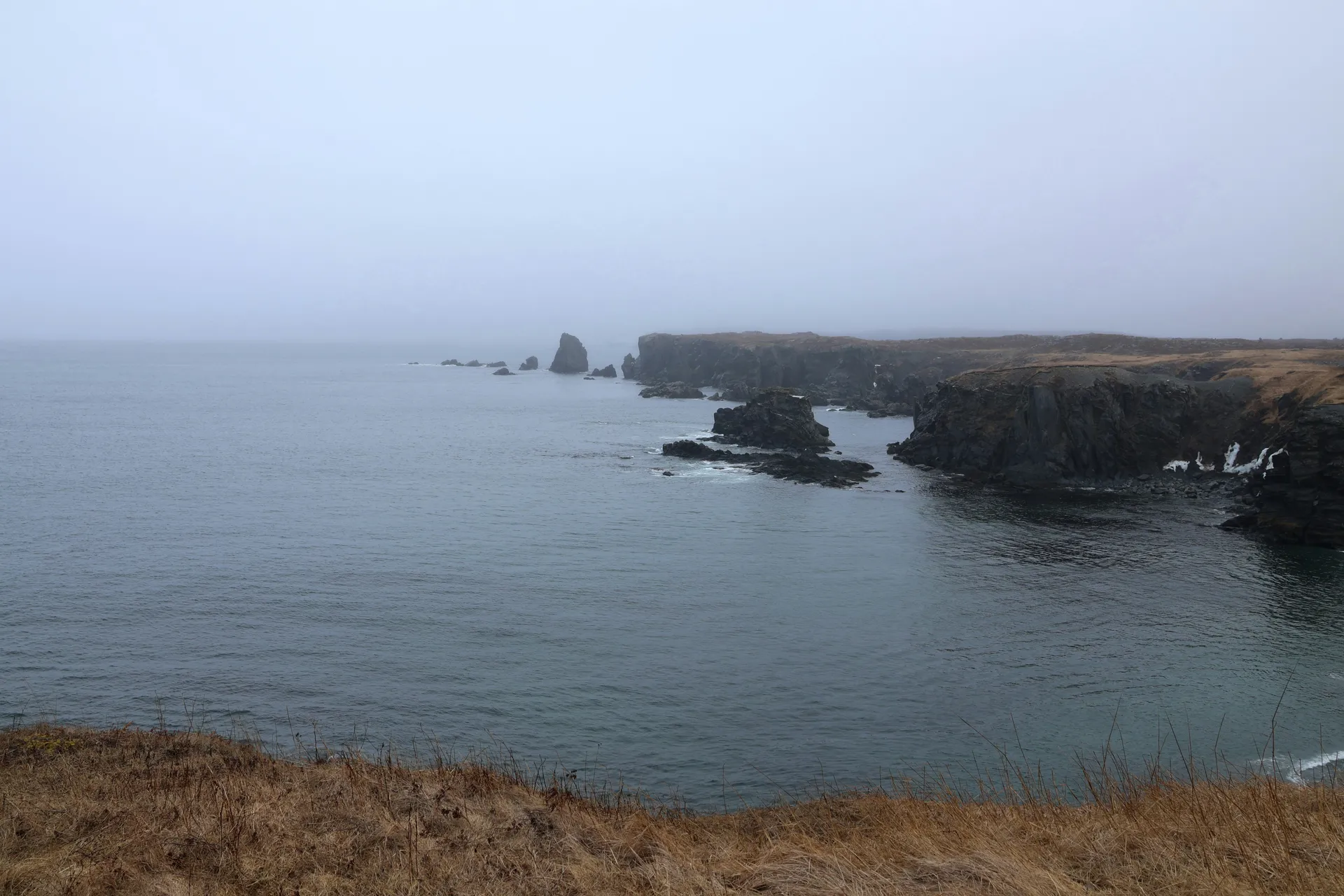 Μπονταβίστα 4