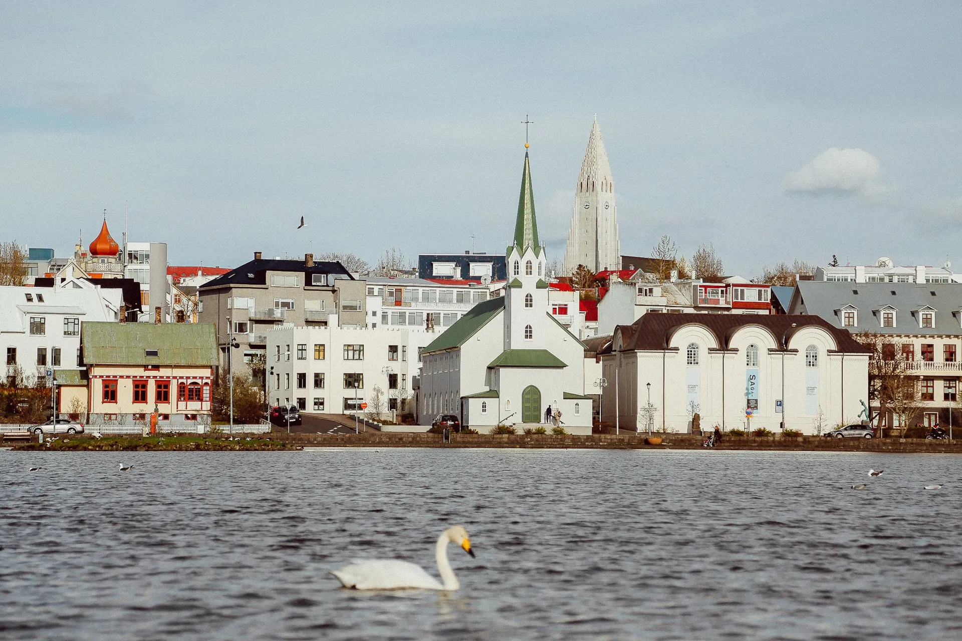Reykjavik 5
