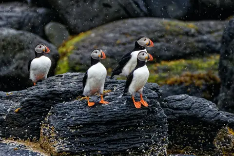 Északnyugati átjáró – A világ tetején keresztül (Alaszka Grönlandig) — HX Expeditions · MS Roald Amundsen